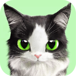 ikon Warrior Cats Wallpaper