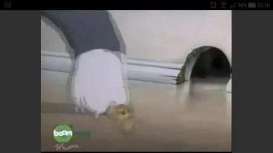 Desenhos Tom & Jerry screenshot 1