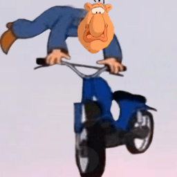 Röhrich Werner Mit dem Motorrad fliegen أيقونة