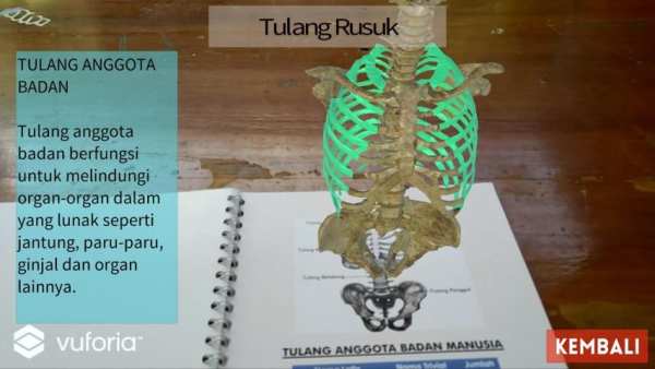 Augmented Reality Tulang Anggota Badan Manusia скриншот 5
