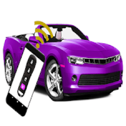 ikon Key fob, Remote start,Schlüssel Auto, FOB Dead Key