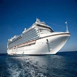 Vacaciones en crucero 8.2