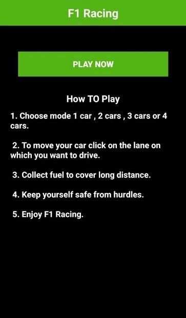 F1 Racing screenshot 5