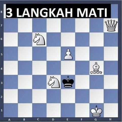 Catur 3 Langkah Mati screenshot 1