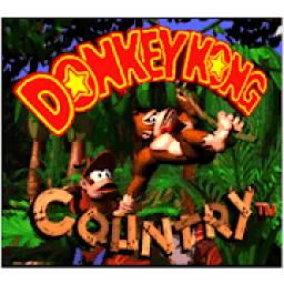 ikon Guide for Donkey Kong
