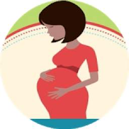 حملك يهمنا - مراحل الحمل وتطور الجنين
‎