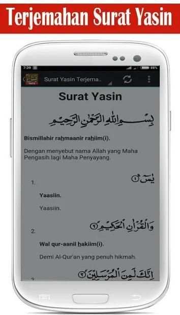 Surat Yasin MP3 screenshot 1