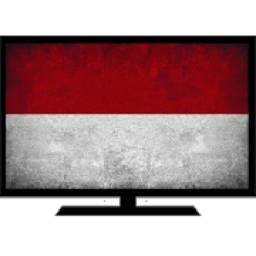 Tv indonesia Info for satellite