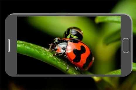 HD Camera 4K Zoom * screenshot 2