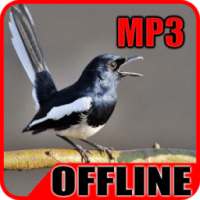 Suara Burung Kacer Juara Ngobra Offline on 9Apps
