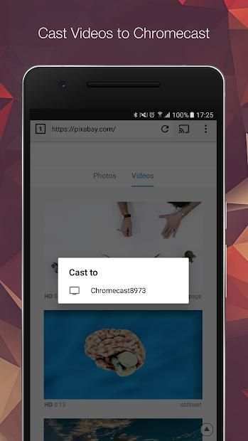EZ Web Video Cast | Chromecast screenshot 6