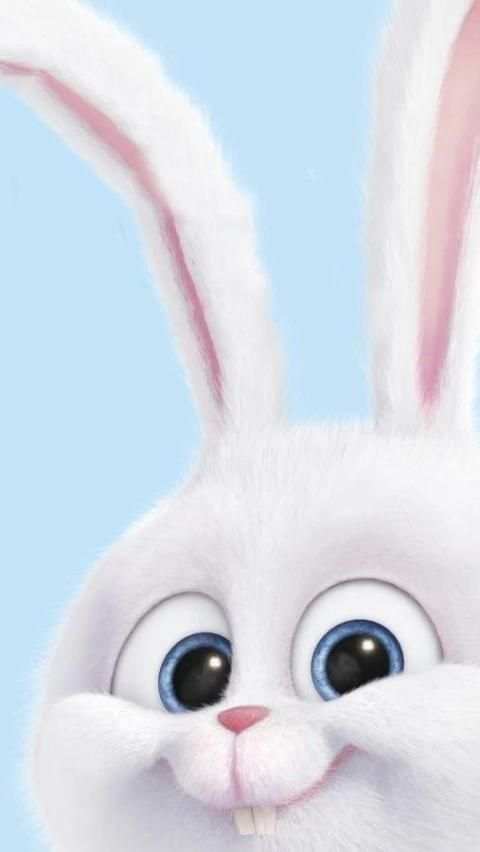Easter Bunny Wallpapers screenshot 5