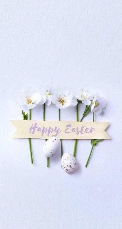 Easter Bunny Wallpapers screenshot 8