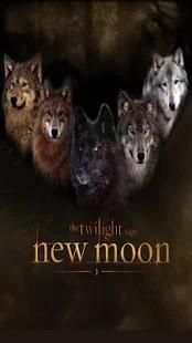 Twilight HD Wallpaper Lock Screen स्क्रीनशॉट 2
