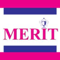 Merit Institute