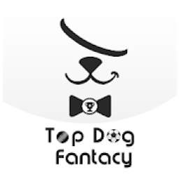 Top Dog Fantasy, where you can learn game tips.
