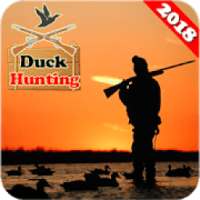 Duck Shooting And Hunting 3D