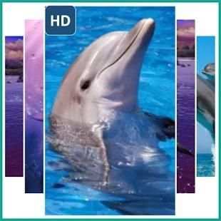 Wallpaper Dolphins स्क्रीनशॉट 6
