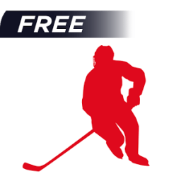 ikon Ice Hockey Guide