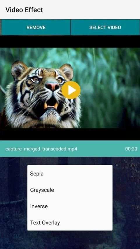 Video Editor – Edit Video & Movie Maker screenshot 2