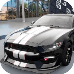 ikon City Driver Ford Mustang Simulator