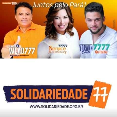 TODOS PELO PARÁ screenshot 1