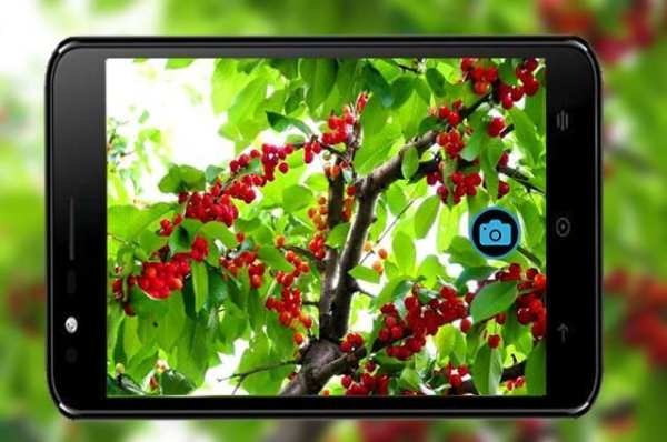 Sweet Selfie HD-Camera For HTC screenshot 5
