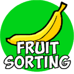 ikon Fruit Sorting