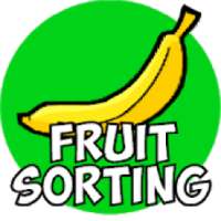 Fruit Sorting