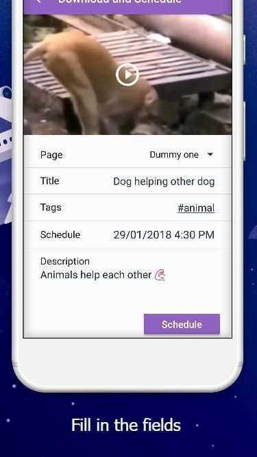 Rapid Repost Plus for Facebook screenshot 2