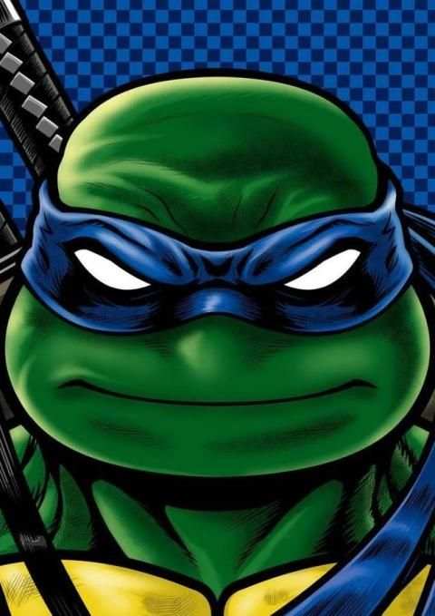 Ninja Turtles Wallpapers screenshot 8
