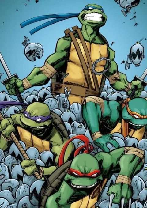 Ninja Turtles Wallpapers screenshot 6