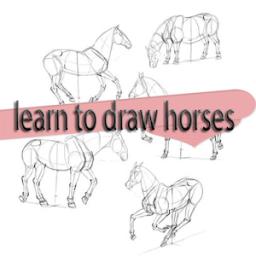ikon learn to draw horses