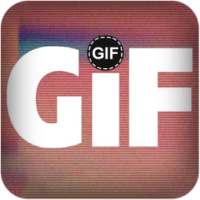 GIFs Animated