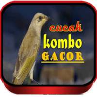 Cucak Kombo Speed Rapat on 9Apps
