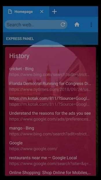 Web Browser screenshot 2