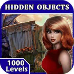 Hidden Object : Hidden Figures Game