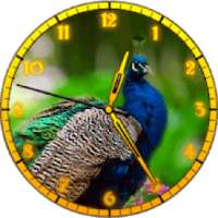 Peacock Clock