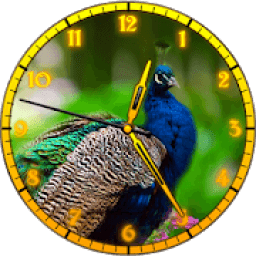 ikon Peacock Clock
