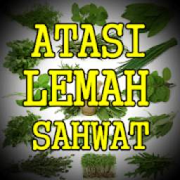 Ramuan Herbal Lemah Gairah Paling Manjur