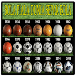 Bola Piala Dunia icon