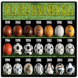 Bola Piala Dunia 8.9