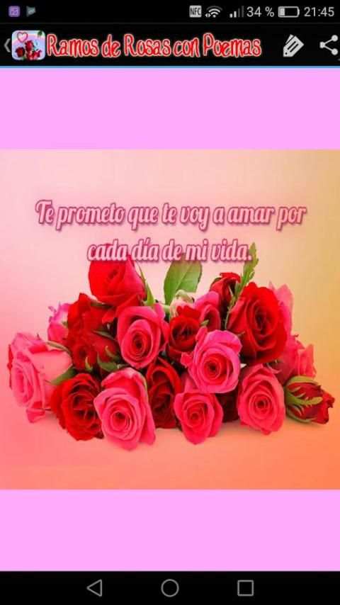 Ramos de Rosas con Poemas screenshot 8