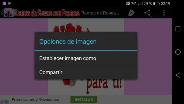 Ramos de Rosas con Poemas screenshot 11
