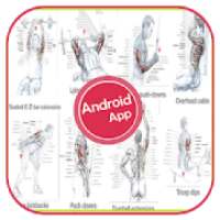 All Triceps exercises on 9Apps