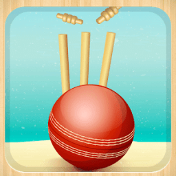 ikon Beach Cricket