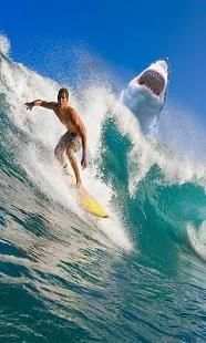 Gesture Lock screen and app lock theme SHARK screenshot 3