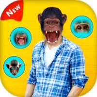 Snap Monkey Face Changer on 9Apps