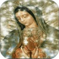 Our Lady of Guadalupe Live Wallpaper on 9Apps