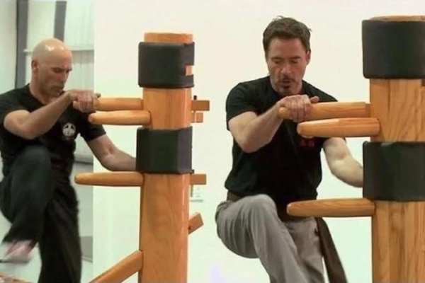 Wing chun techniques screenshot 2